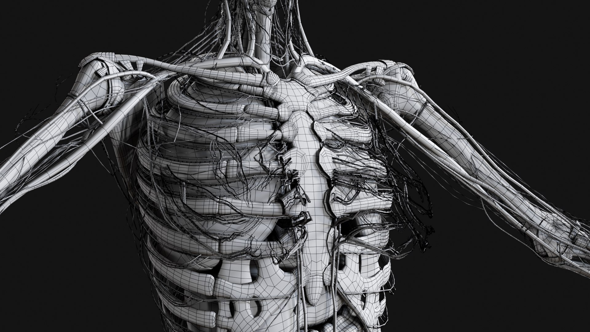3D Female and Male Complete Anatomy https://p.turbosquid.com/ts-thumb/Cm/Lxbojr/hO/w35/jpg/1625140033/1920x1080/fit_q87/382c6471cbecb62be1ec6f709e93a9838620590f/w35.jpg