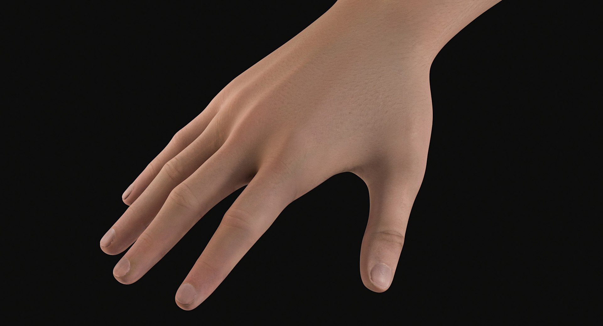 3D Female and Male Complete Anatomy https://p.turbosquid.com/ts-thumb/Cm/Lxbojr/r7/male_complete_anatomy72/jpg/1625126951/1920x1080/fit_q87/13b7cb358553e4caea3634119b0fae56d06f17c4/male_complete_anatomy72.jpg