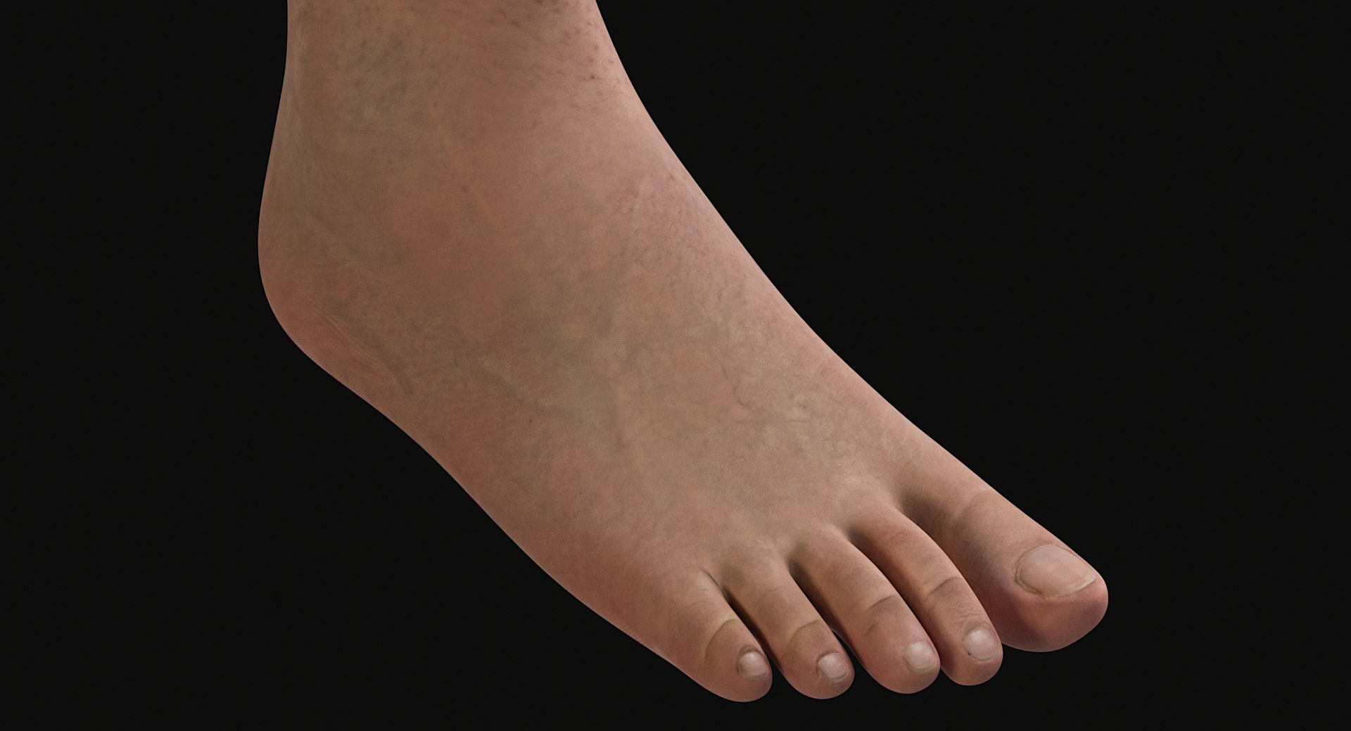 3D Female and Male Complete Anatomy https://p.turbosquid.com/ts-thumb/Cm/Lxbojr/sT/male_complete_anatomy80/jpg/1625126976/1920x1080/fit_q87/210c725b2fc5051365bcea667aa81d0d16623e78/male_complete_anatomy80.jpg