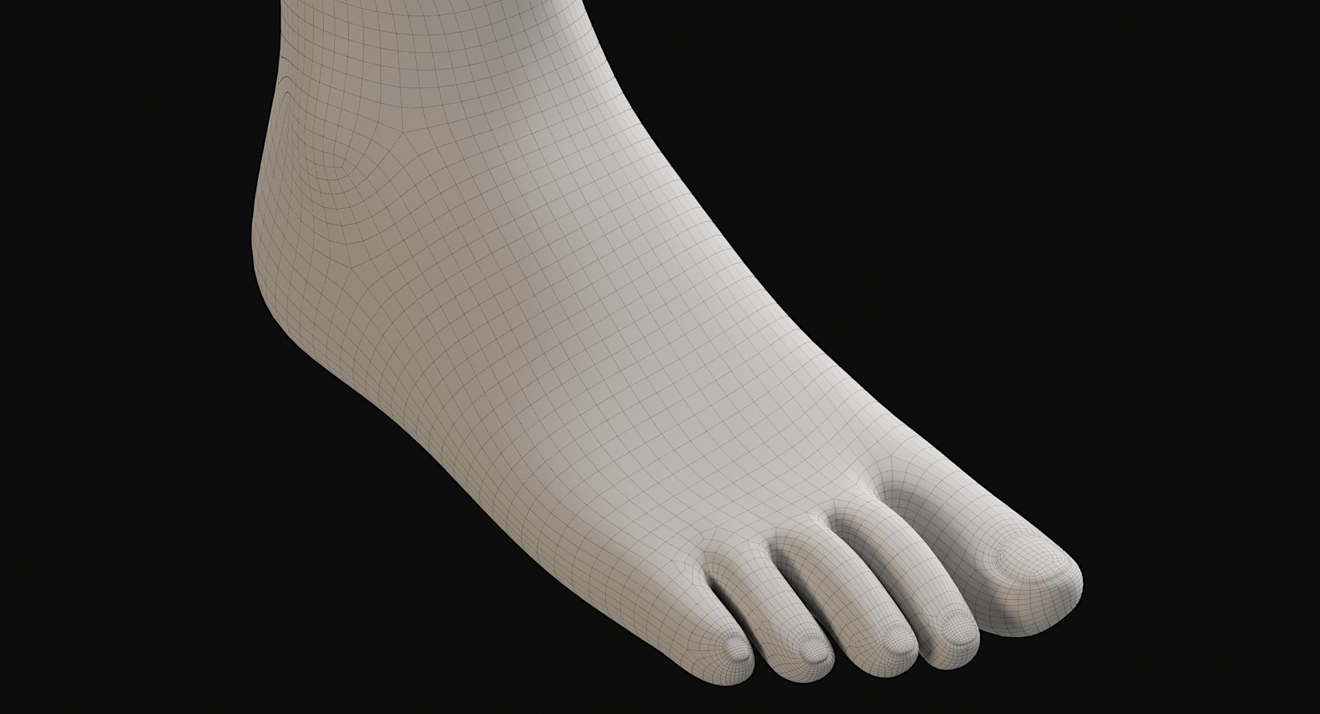 3D Female and Male Complete Anatomy https://p.turbosquid.com/ts-thumb/Cm/Lxbojr/vY/wire39/jpg/1625139960/1920x1080/fit_q87/3bd10a8498fbddc20d00d2998be23a7c479cca69/wire39.jpg