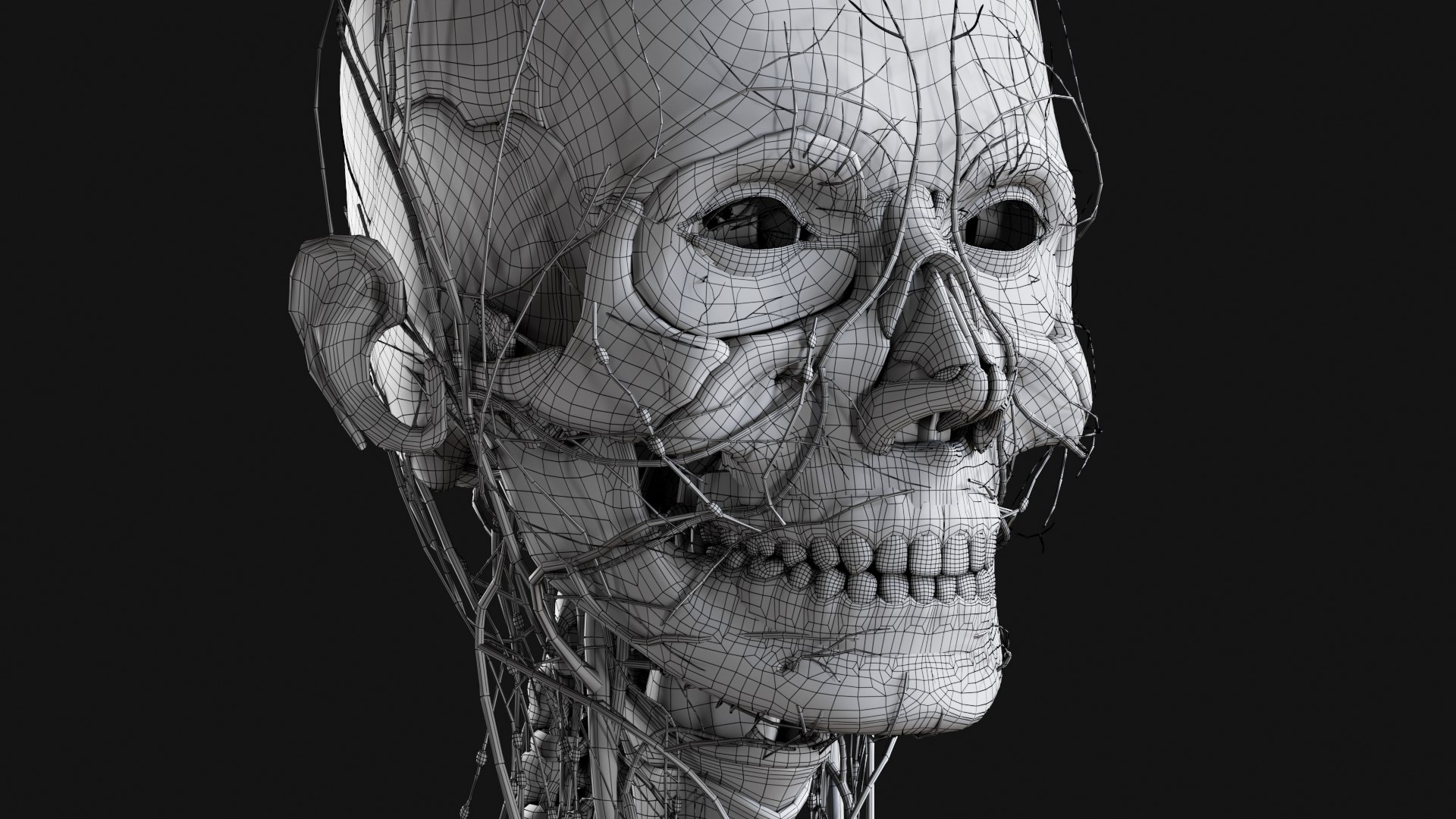 3D Female and Male Complete Anatomy https://p.turbosquid.com/ts-thumb/Cm/Lxbojr/xY/w37/jpg/1625140031/1920x1080/fit_q87/2496c6afced8c675f5fdfdd53e7c394f338386ee/w37.jpg