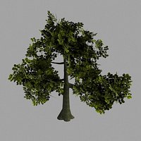 Oak Tree Low Poly