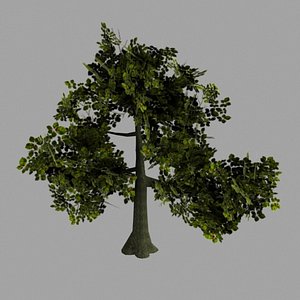 3d model oak tree