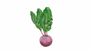 3D BeetRoot