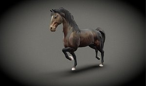 3D Low Poly Rigged and Animated Black Stallion Low-poly 3D model model