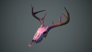 3D Deer Skull model