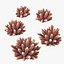 3D Acropora Corals S Collection model