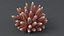 3D Acropora Corals S Collection model