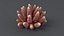 3D Acropora Corals S Collection model
