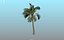 Viento de animación de palmera