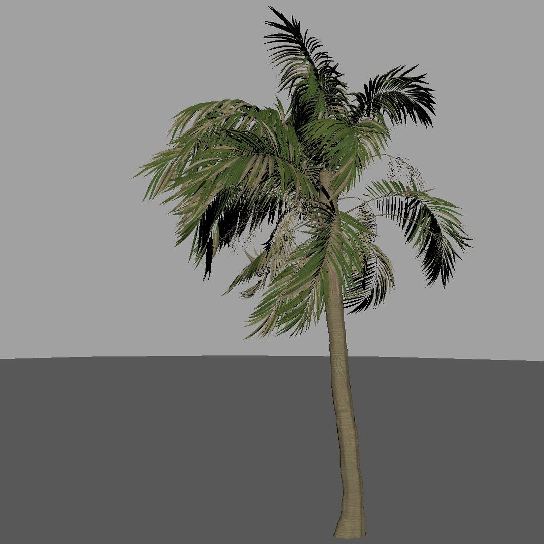 3D palm wind tree https://p.turbosquid.com/ts-thumb/Cn/K8VkFc/QCyP4Jid/01_preview/jpg/1596911197/1920x1080/fit_q87/76a19fd45a40313ed6eabb5aef99bdf3f39b9b4e/01_preview.jpg