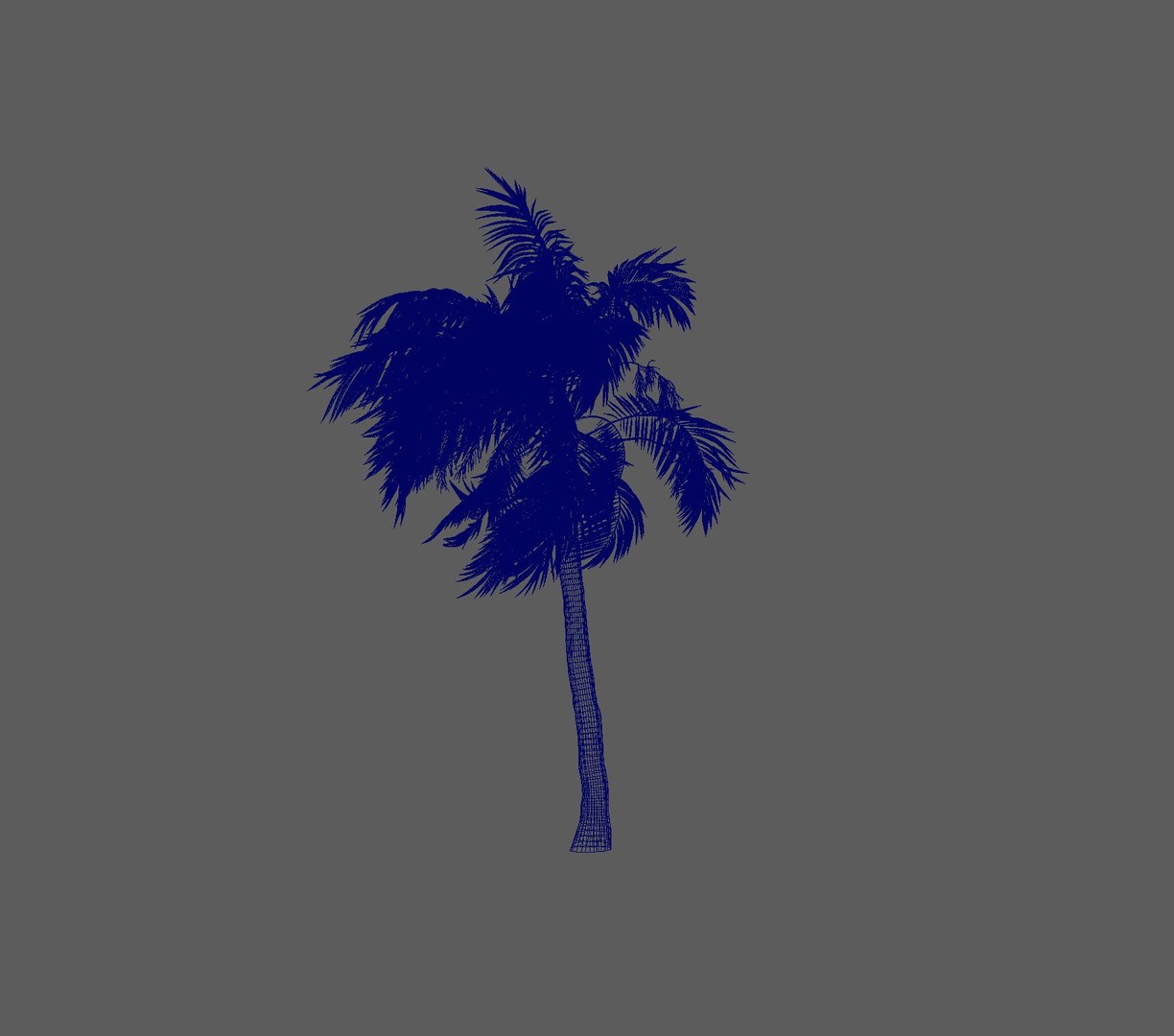 3D palm wind tree https://p.turbosquid.com/ts-thumb/Cn/K8VkFc/c65ZwLtS/wireframe/jpg/1599248815/1920x1080/fit_q87/387063a8e5578ce0d6dbc3bcfd05b5e3efbfaf1a/wireframe.jpg