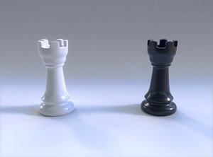 rook model
