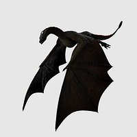 Dragon rigged