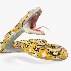 3D yellow python snake attack