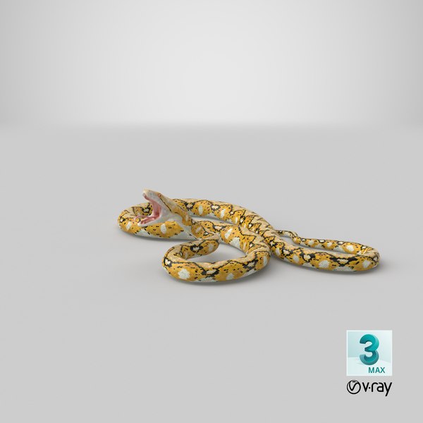 3D yellow python snake attack - TurboSquid 1412938