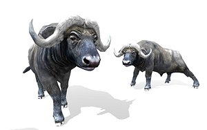 Buffalo lowpoly 3d model
