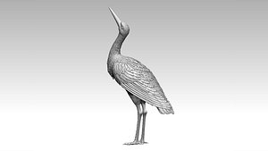 3D stork model