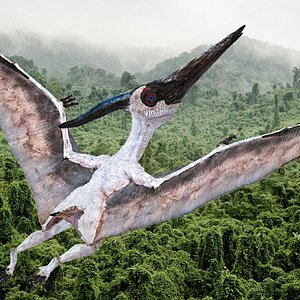 pteranodon pterosaur white rigged 3D