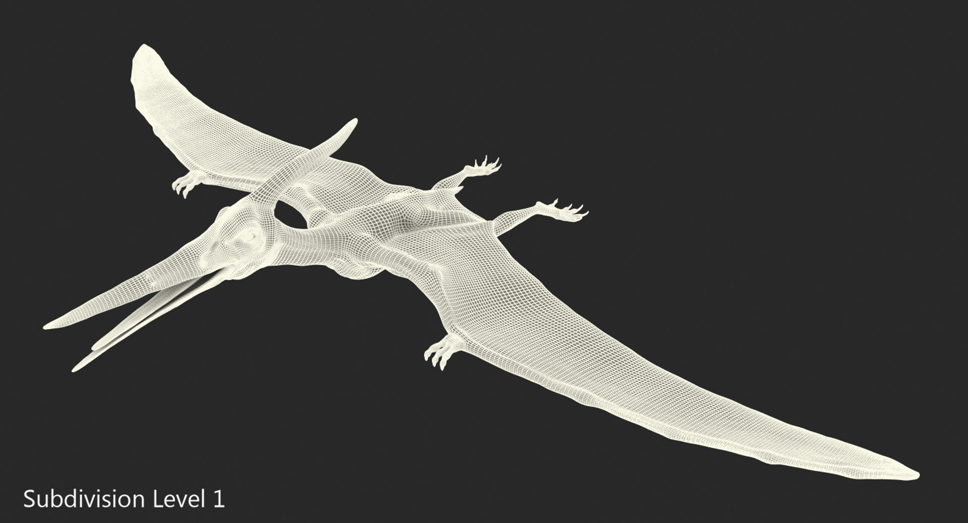 Pteranodon pterosaur white rigged 3D - TurboSquid 1479528