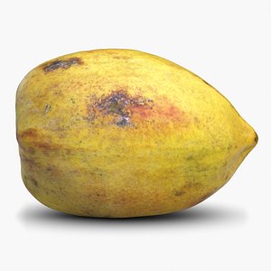 3d papaya 1 model
