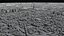 Paris France