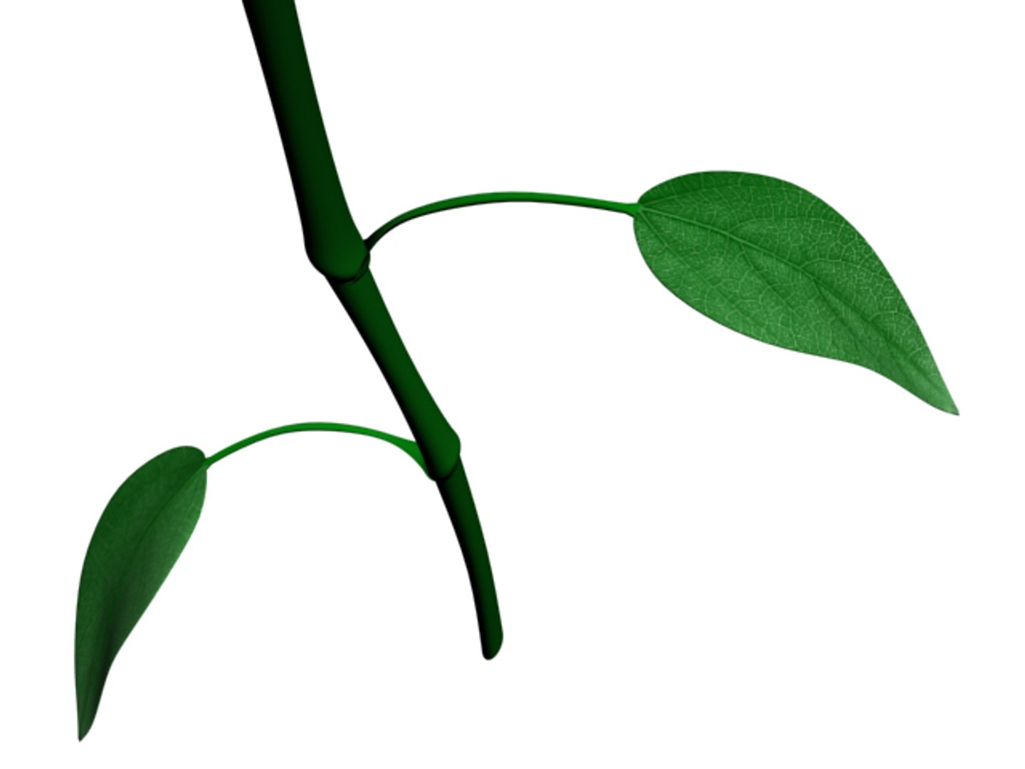 max rose flower https://p.turbosquid.com/ts-thumb/Cn/hTkum1/KNTArKPV/5/jpg/1277990696/1920x1080/fit_q87/90b4a8179bf729247e2a9c8ac5f268d7af122b7b/5.jpg