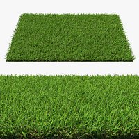 Centipede Warm Season Grass