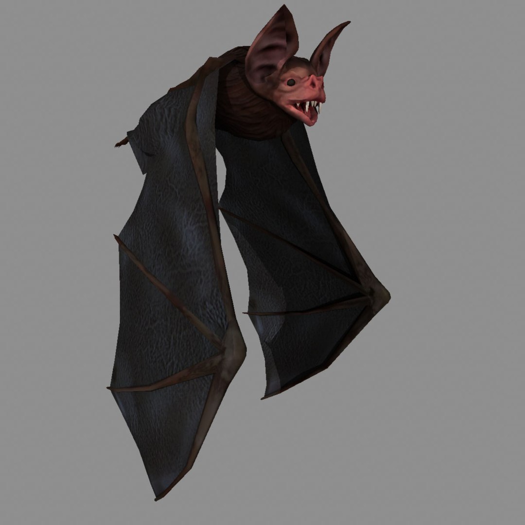 Maya Vampire Bat Rig
