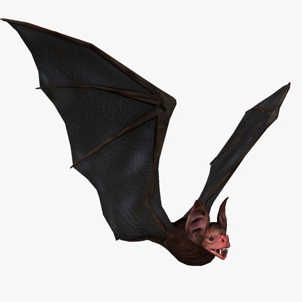 Bat Maya Models for Download | TurboSquid