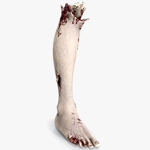 Severed Foot 2 3D