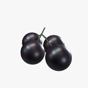 3D model Medieval Jabuticaba