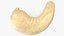 Cashew 3D model
