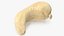 Cashew 3D model