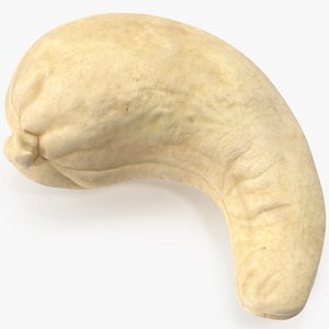 Cashew 3D model