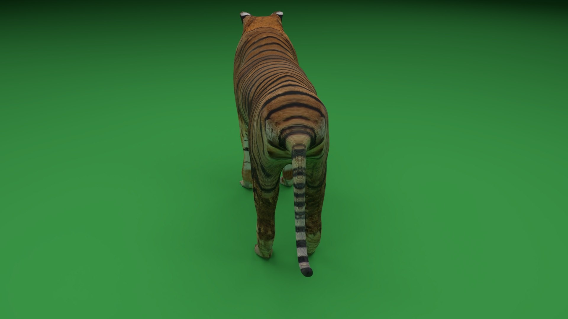 Tiger wildlife animal model - TurboSquid 1297187