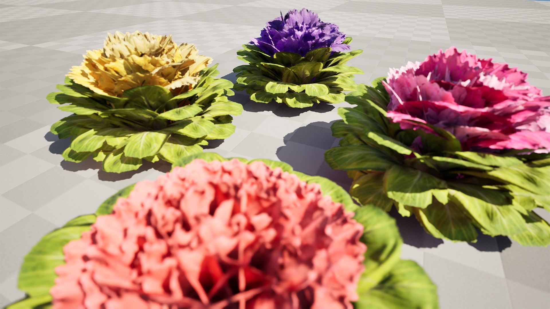 Realistic Cabbage Flowers 3D https://p.turbosquid.com/ts-thumb/Co/5Env9w/zd/highresscreenshot00005/jpg/1722605240/1920x1080/fit_q87/36a531bc73dc1e61baacedbc3360285959a48361/highresscreenshot00005.jpg
