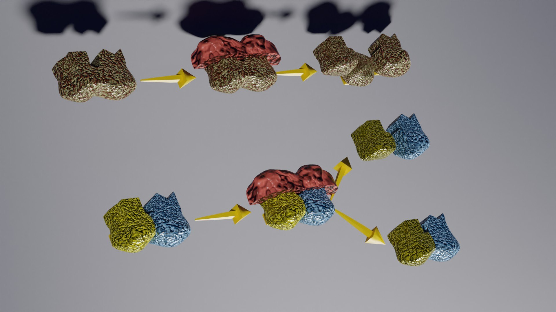 3D enzyme substrate reaction process https://p.turbosquid.com/ts-thumb/Co/6rLx2J/W9/z0008/jpg/1694965049/1920x1080/fit_q87/941d8a3efc07877d689875498a7096d4f329b645/z0008.jpg