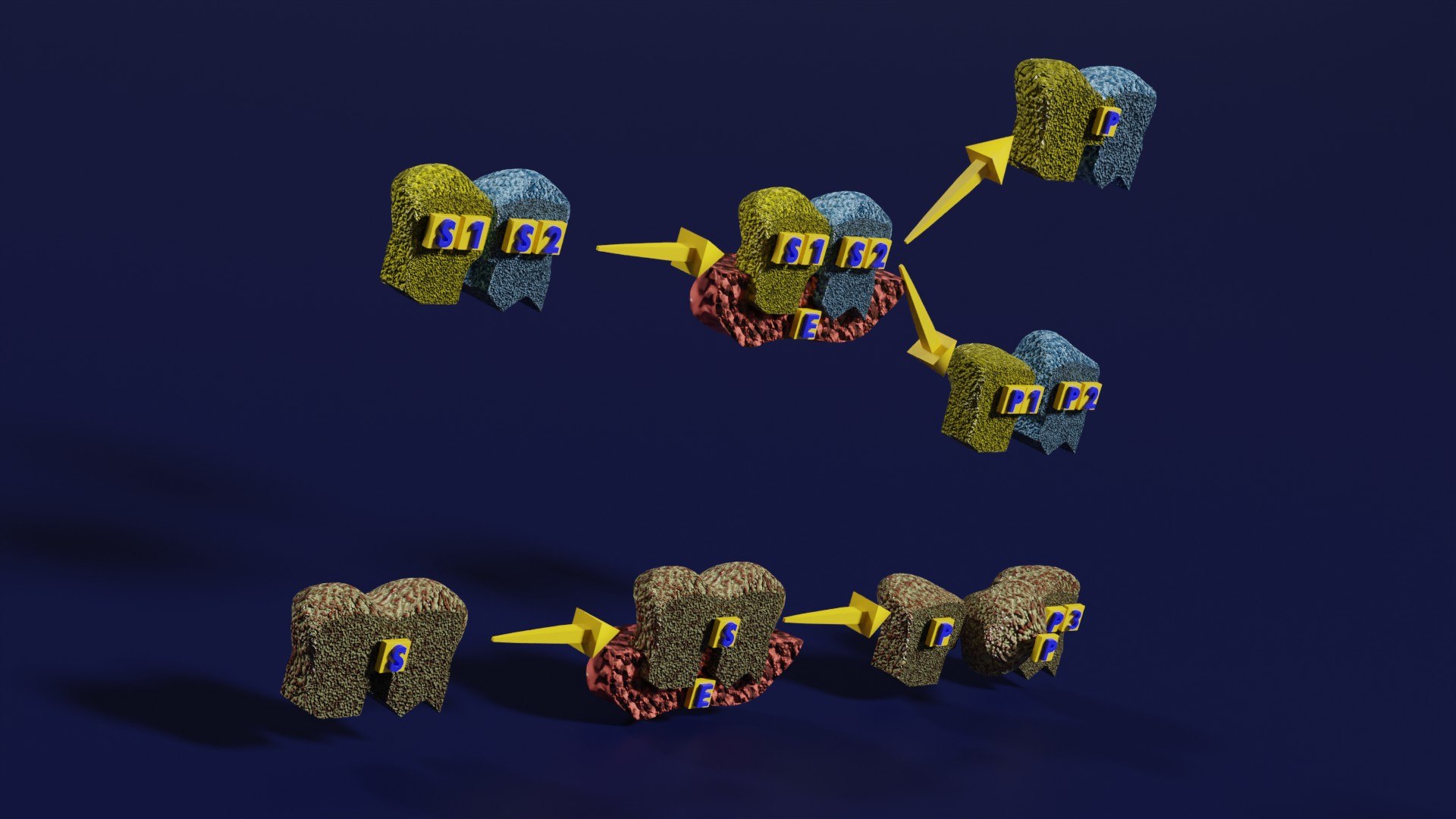3D enzyme substrate reaction process https://p.turbosquid.com/ts-thumb/Co/6rLx2J/g2/z0010/jpg/1694965050/1920x1080/fit_q87/d1725489f0f837bc0afe9863409b620064178f65/z0010.jpg