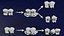 enzyme substrate reaction process