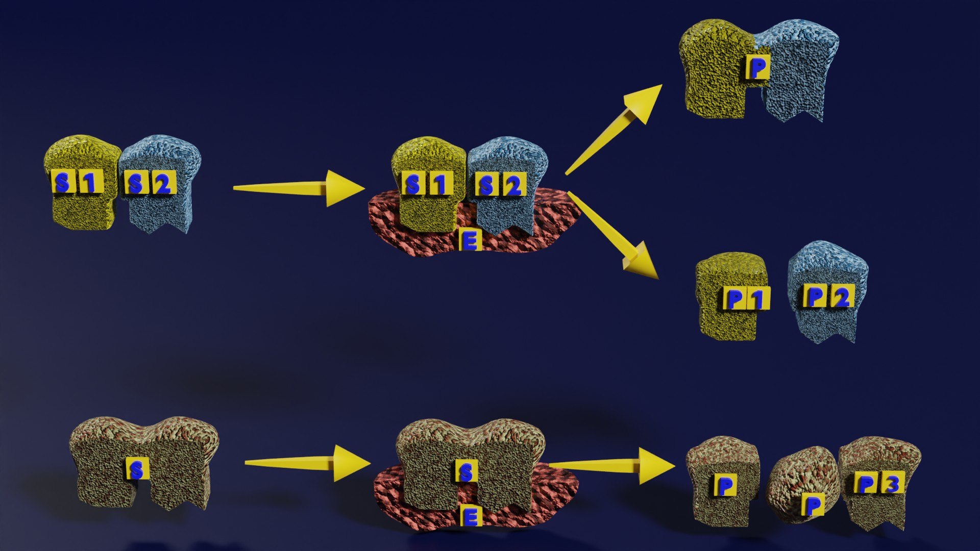 3D enzyme substrate reaction process https://p.turbosquid.com/ts-thumb/Co/6rLx2J/zZ/z0001/jpg/1694965045/1920x1080/fit_q87/1f4fb04b85dcf27929c4795bcbc9c115d82ade71/z0001.jpg