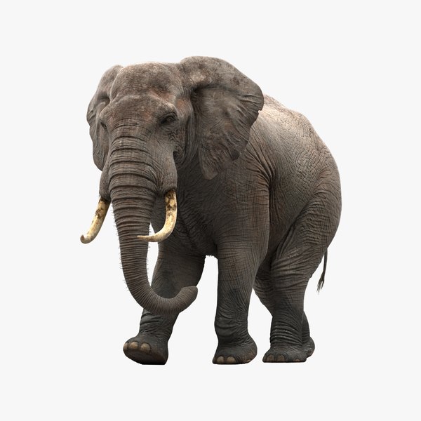 3d model elephant rigging animation