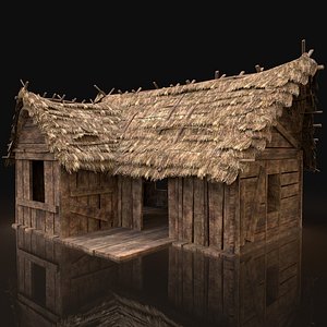 AAA Next Gen Thatched Wooden House Cottage Hut