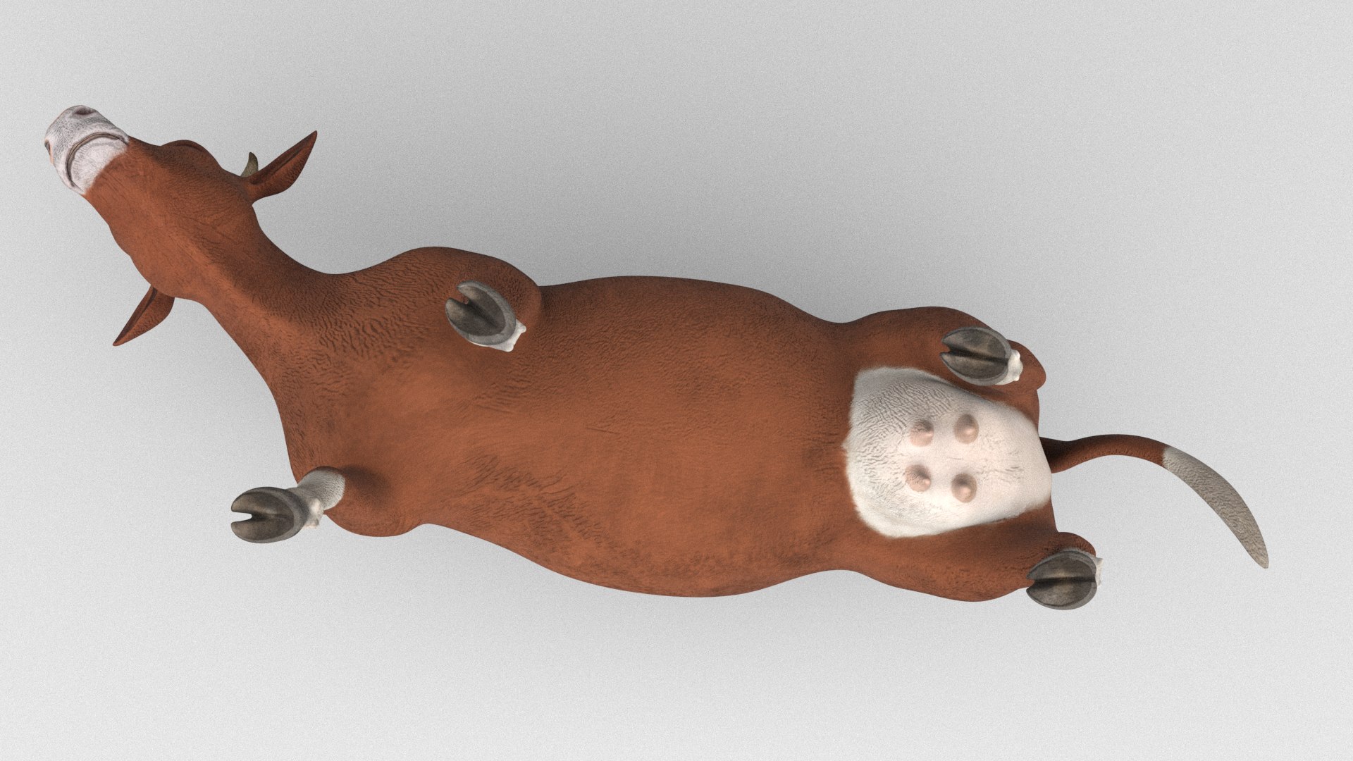 3D Cow Real Rigged Model - TurboSquid 2306674