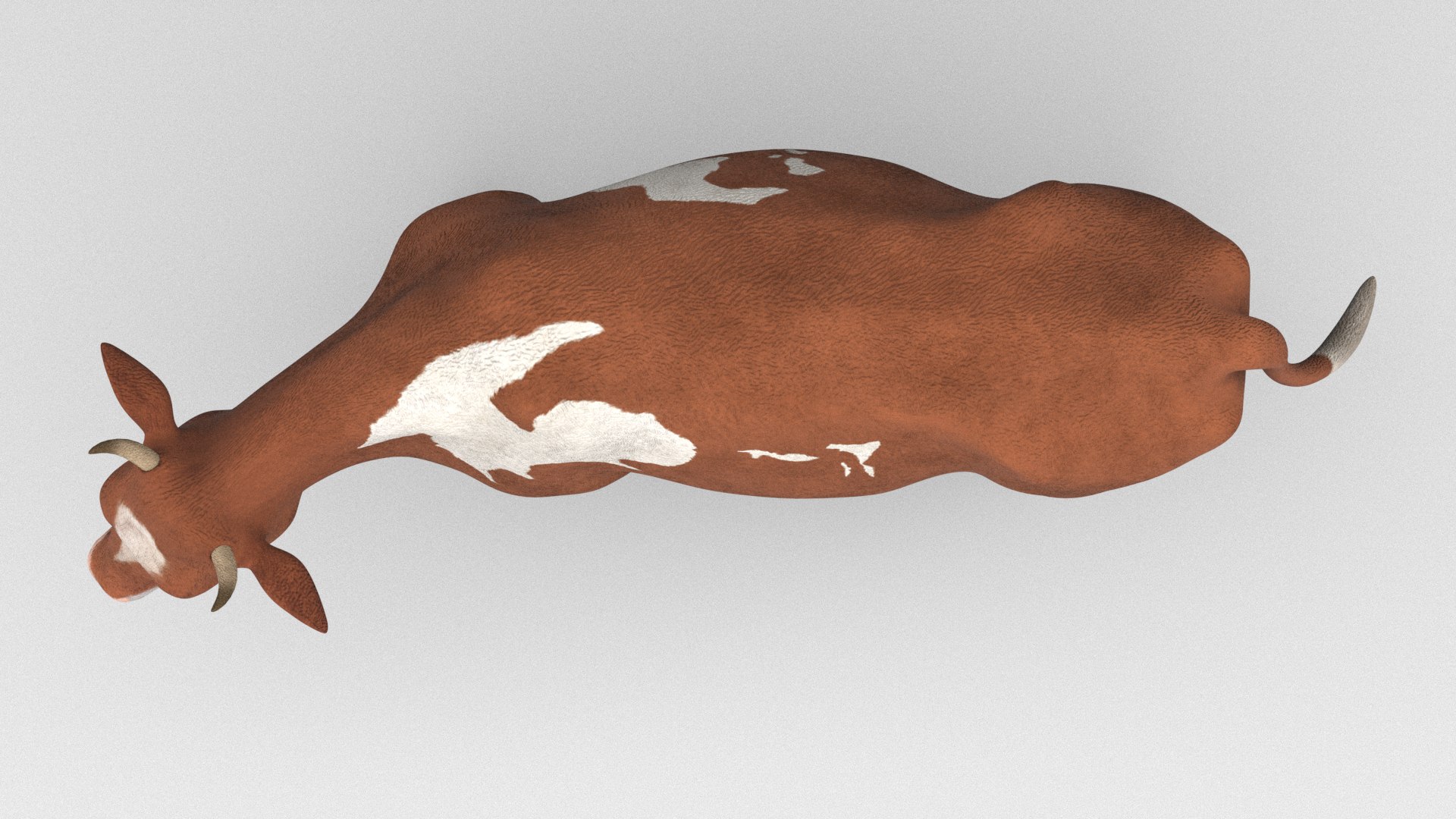 3D Cow Real Rigged Model - TurboSquid 2306674