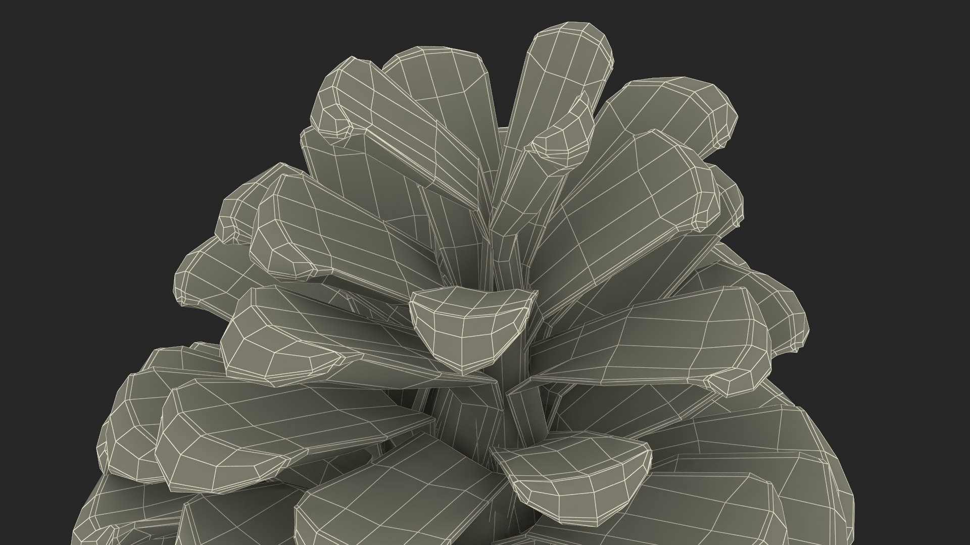 3D model Opened Pine Cone https://p.turbosquid.com/ts-thumb/Co/P9YJhG/4D/openedpineconec4dmodel022/jpg/1664206083/1920x1080/fit_q87/6a67c48768b817e9d5c11513ddc63b5051ed0251/openedpineconec4dmodel022.jpg
