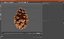 Opened Pine Cone
