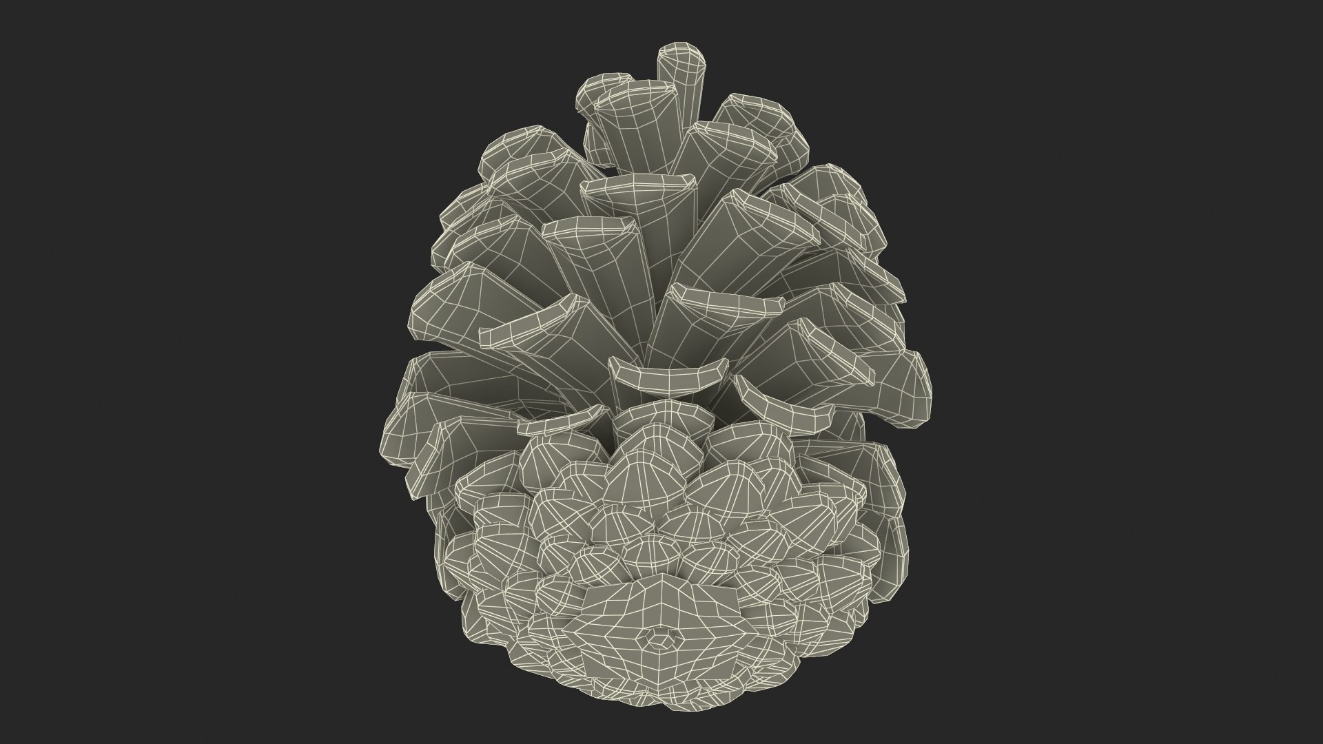 3D model Opened Pine Cone https://p.turbosquid.com/ts-thumb/Co/P9YJhG/Wl/openedpineconec4dmodel023/jpg/1664206087/1920x1080/fit_q87/1bd81bd9eaba7f452b009ce07862c694c245be00/openedpineconec4dmodel023.jpg