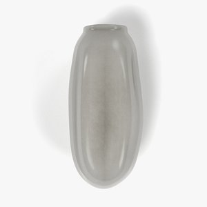 Bedbug Egg (Cimex Lectularius)