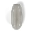 Bedbug Egg (Cimex Lectularius)